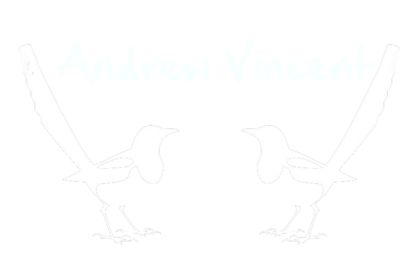 AndreVincentPhotographyNegative600